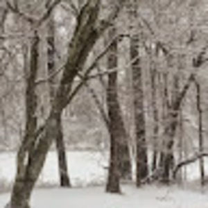 Meet your Posher, Lizzy